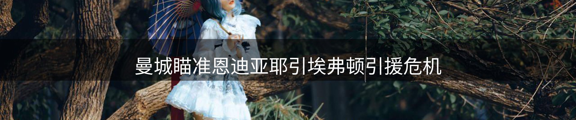 焦点动态